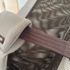 リッチェルバウンサーの画像