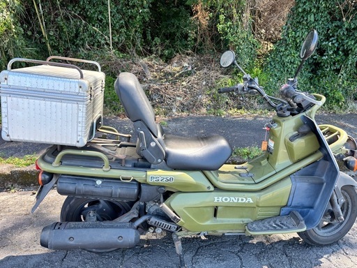 HONDA  PS250 絶版レア車　ビッグスクーター　ズーマー