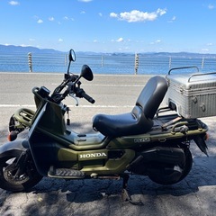 HONDA  PS250 絶版レア車　ビッグスクーター　ズーマーの画像