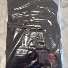 リコリスリコイル パックTシャツ 錦木千束 井ノ上たきな セット XLの画像