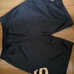 DESCENTE  半ズボン　Mの画像