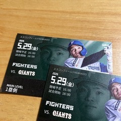 日ハム　5月29日の画像