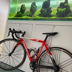 ロードバイク　ピナレロフルカーボンの画像