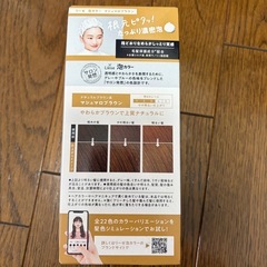 リーゼ泡カラーの画像