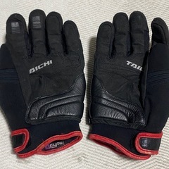 RS TAICHIドライマスターグローブの画像