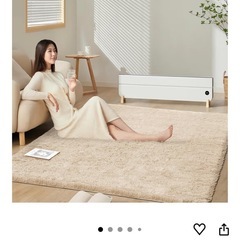 美品　ラグの画像