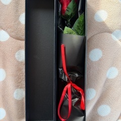 プレゼントにいかがですか？の画像