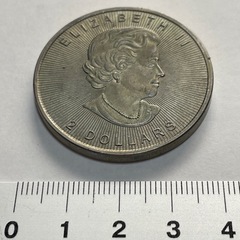 オオカミコインの画像