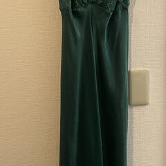 ANNEBRA ~アンブラ~ ダークグリーン　光沢あり華やかナイトウエア　ガウンの画像