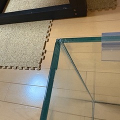 60センチ水槽の画像