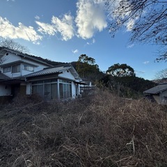 草、木刈り、土撤去をお願いしたいです - 呉市