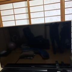 テレビの画像