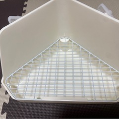 うさぎのトイレの画像