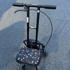 座れる押しぐるま　高齢者、足の悪い方の画像