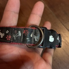 犬用　首輪の画像