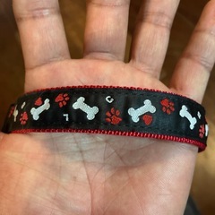 犬用　首輪の画像