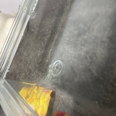 ハムスター　グラスハーモニー　600 家の画像