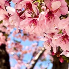 第15回　楽しくお話をする会