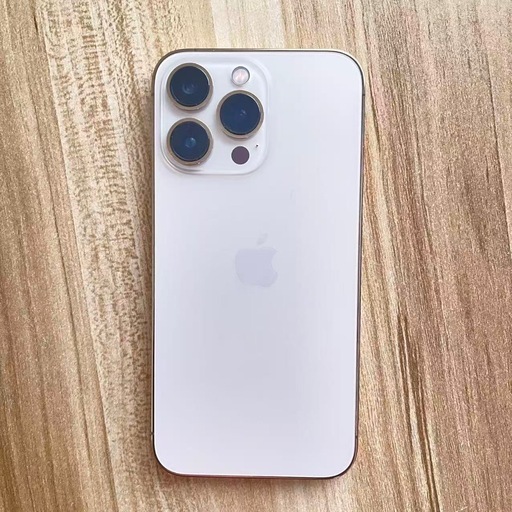 iPhone13por