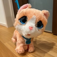 お散歩ねこちゃんの画像