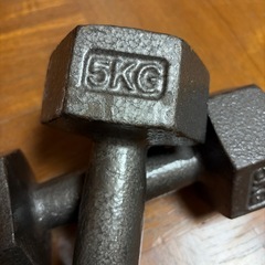 ダンベル・鉄アレイ 5kg×2本セット 筋トレ・自宅トレーニングにの画像