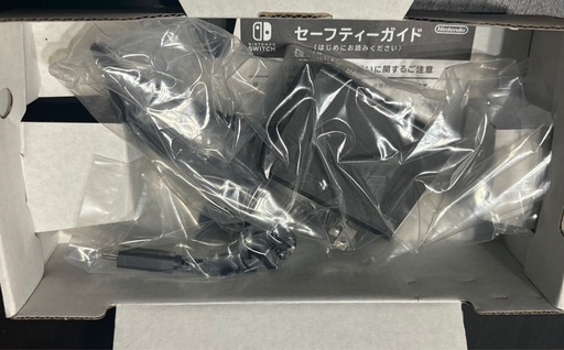 Nintendo SwitchLight コーラル