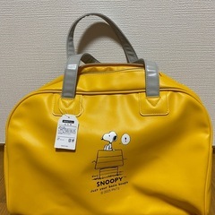 6点全部まとめ　NIKE エアジョーダン　SNOOPY 保冷バッグ　保冷リュックサック　ポーチ等　ナイキの画像