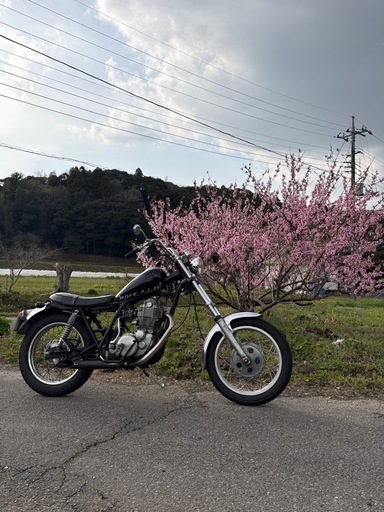 バイク sr400