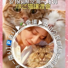 🌸ふれあい🩷保護猫譲渡会🌸🐈中山公民館 