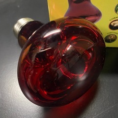 バスキングライト　赤　　爬虫類用品の画像