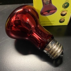 バスキングライト　赤　　爬虫類用品の画像