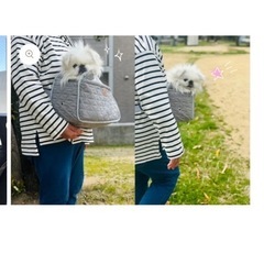 ペットキャリー春夏用の画像