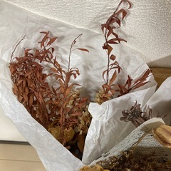 おまとめ　ドライフラワー  7個セットの画像