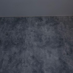 【江古田駅】ふわふわラグ200×160 美品 2000円 早い者勝ちの画像