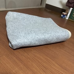 ホットカーペットの画像