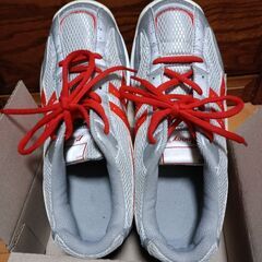 スポーツシューズ 体育館履き 学校用シューズ 25センチの画像
