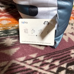 【お迎え募集中】結合男子 クッションの画像