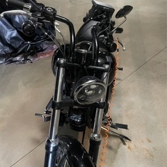 ハーレーの画像