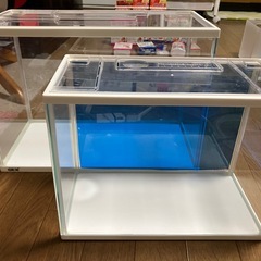 【0円】金魚・メダカ水槽スターターセット一式（30cm＋40cm水槽）の画像