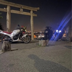 vtz250の画像
