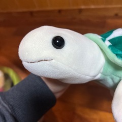 カメぬいぐるみ美品の画像