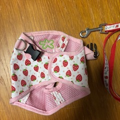 小型犬サイズ❗️の画像