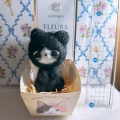 箱猫♡ブラックNo.1の画像