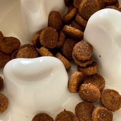 ヒルズ サイエンス・ダイエット 大型犬 子犬用 12kg（開封済み・残量約10kg）の画像