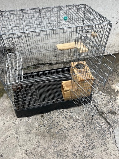 全長85㎝‼️ペットゲージ鳥かご小動物ケージ?プロフ必読