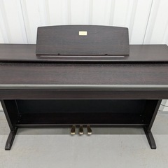 CELVIANO AP-45の画像