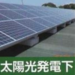 防草シート貼り、草刈りの画像