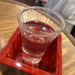 本日サクッと飲める人🍺🍻🍺