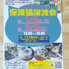 3月29日福山で保護猫の譲渡会
