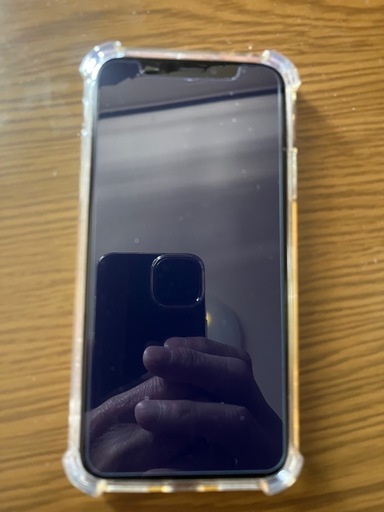 iPhonexs64G